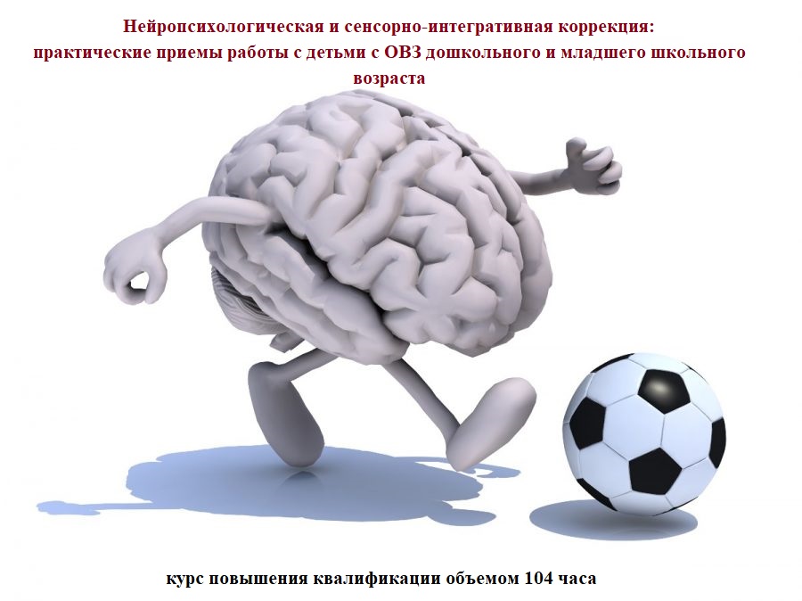 Нейропсихологическая и сенсорно-интегративная коррекция: практические приемы работы 
с детьми с ОВЗ дошкольного и младшего школьного возраста