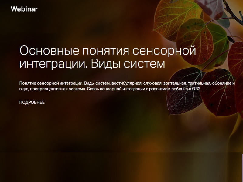 Основные понятия сенсорной интеграции, виды систем: вестибулярная, слуховая, зрительная, тактильная, обоняние и вкус, проприоцептивная система